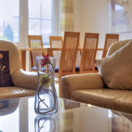 Vicky With Infrared Cabin, Cleaning Included Apartment