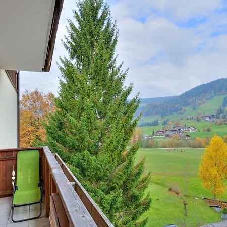 Vicky With Infrared Cabin, Cleaning Included * Niederau